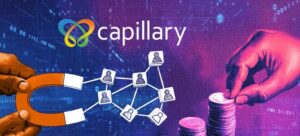 Capillary Technologies IPO Price, IPO Date, Lot size